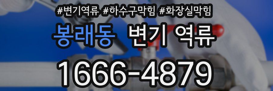 봉래동 변기 역류