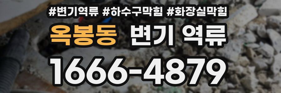 옥봉동 변기 역류