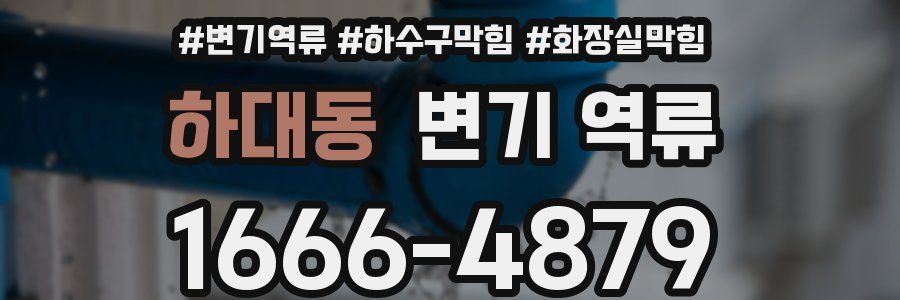 하대동 변기 역류