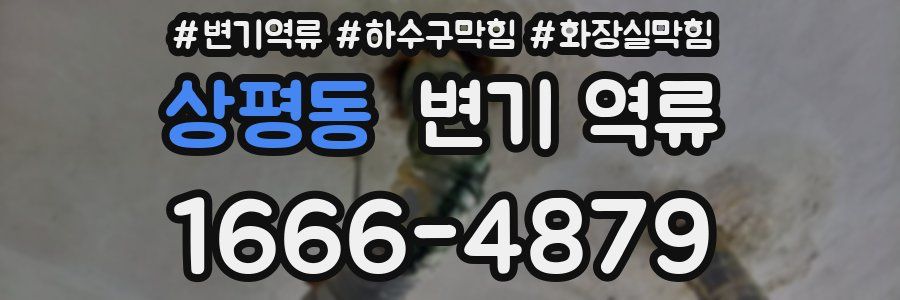 상평동 변기 역류