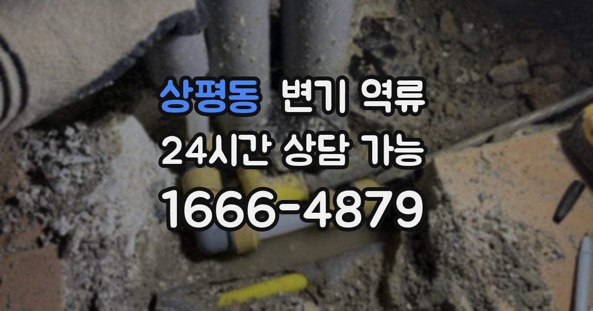 상평동 변기 역류