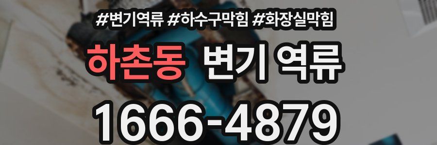 하촌동 변기 역류