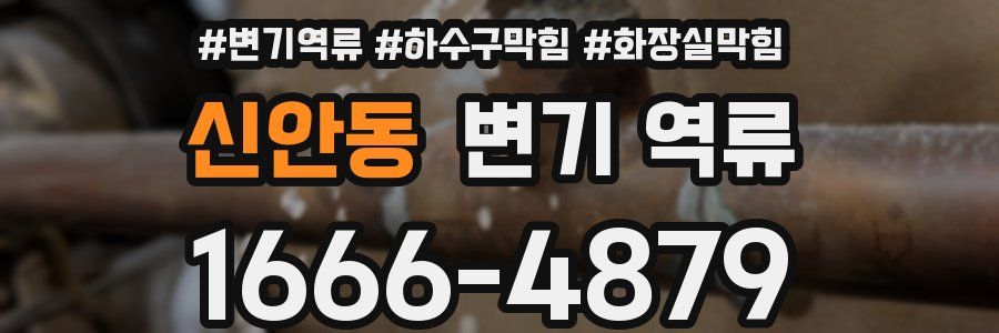 신안동 변기 역류