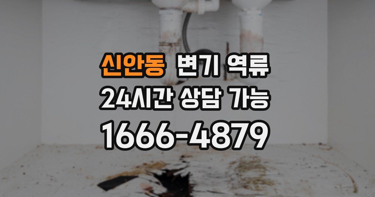 신안동 변기 역류