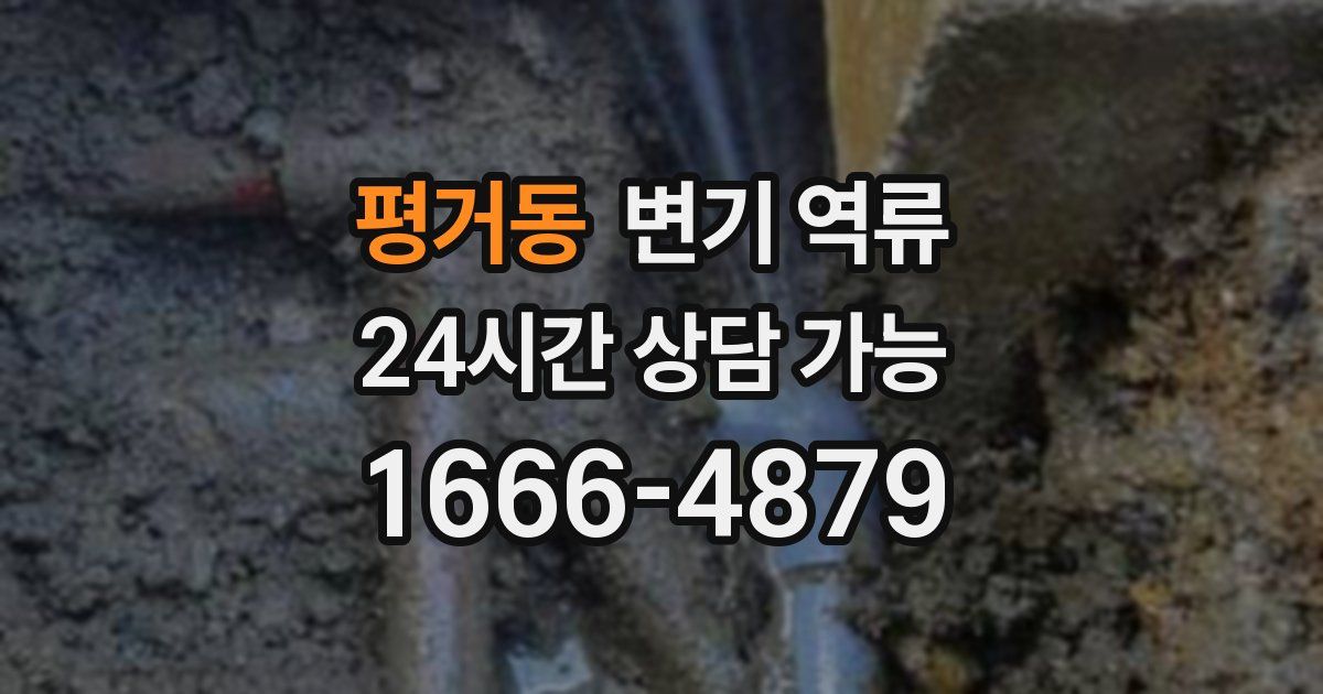 평거동 변기 역류