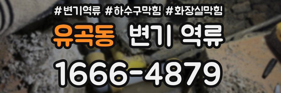 유곡동 변기 역류