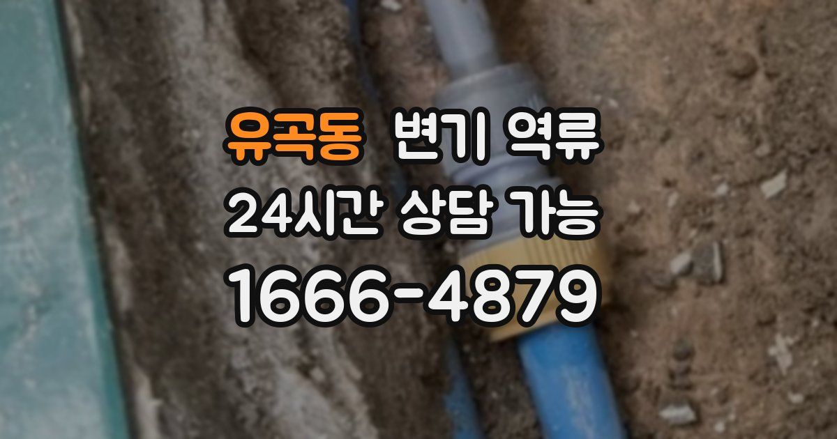 유곡동 변기 역류