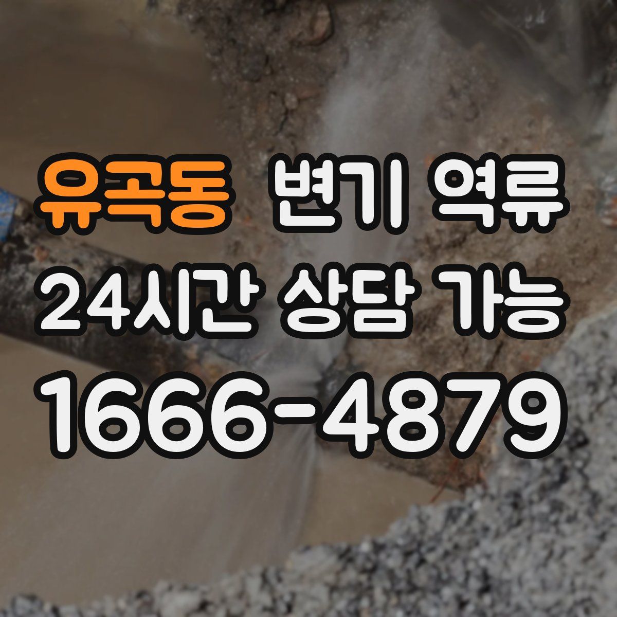 유곡동 변기 역류