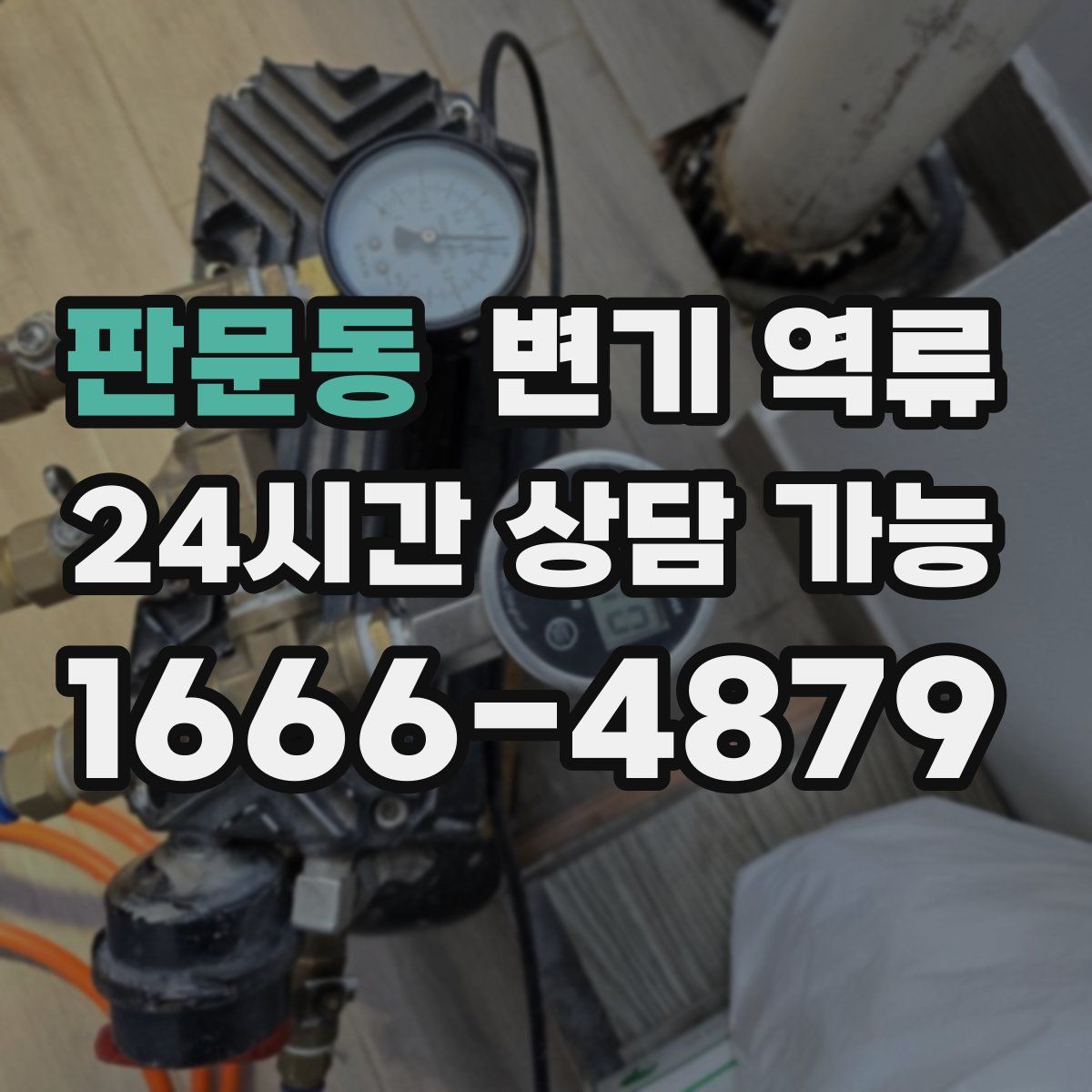 판문동 변기 역류