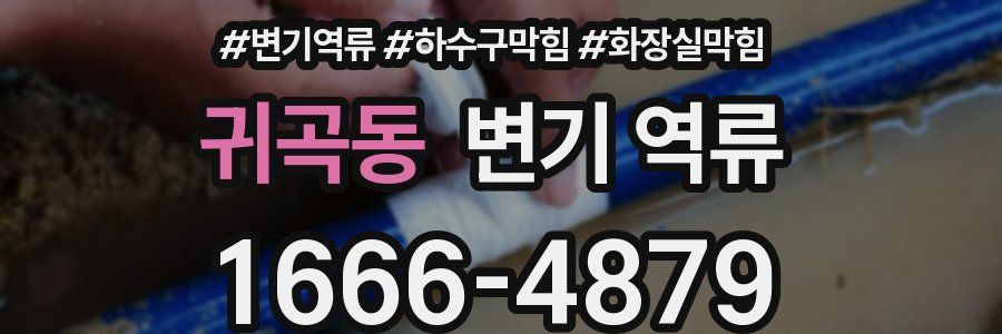 귀곡동 변기 역류