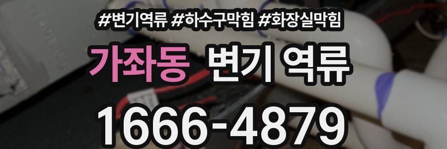 가좌동 변기 역류