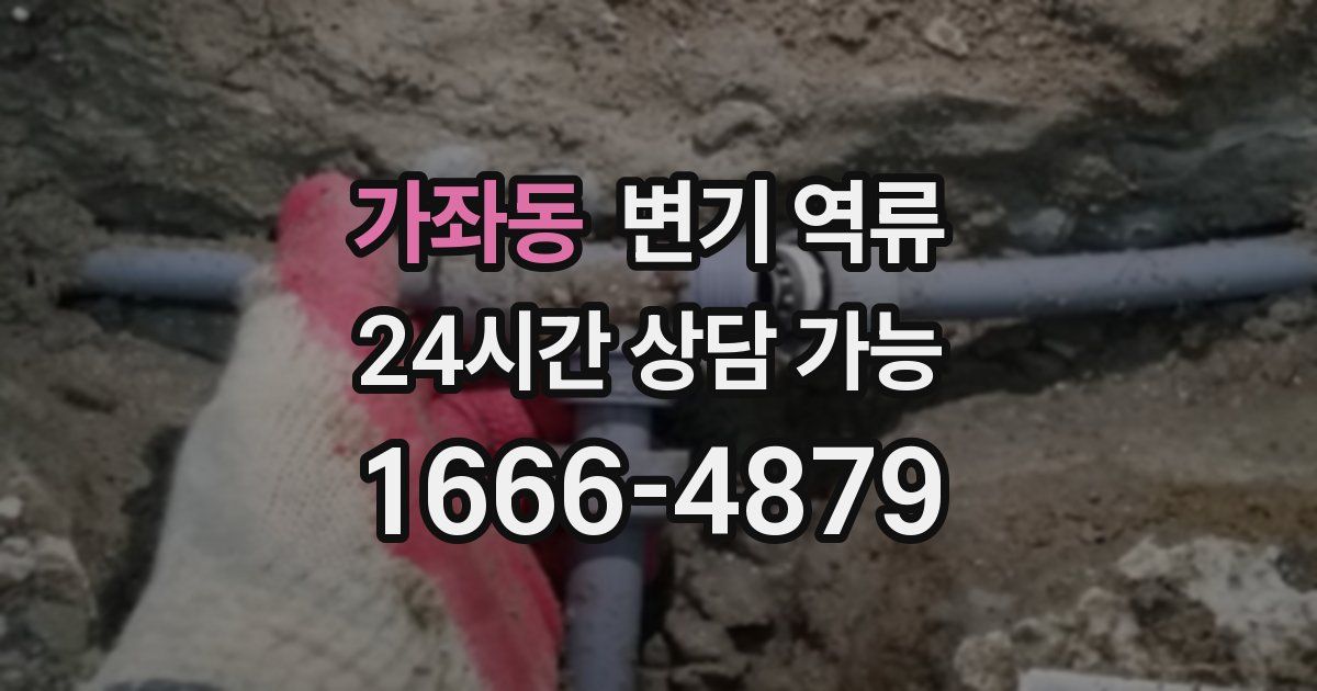 가좌동 변기 역류