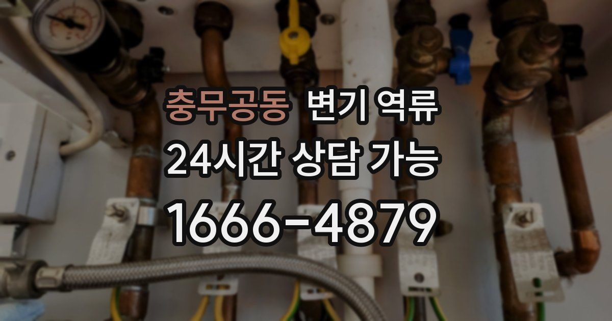 충무공동 변기 역류