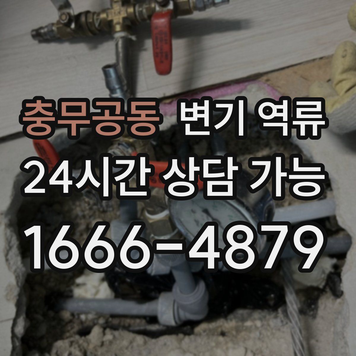 충무공동 변기 역류