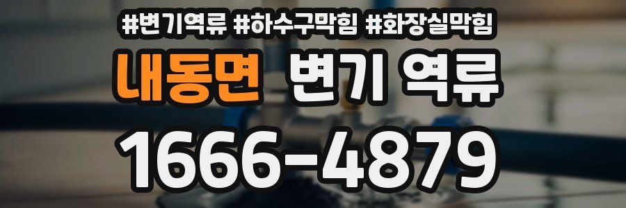 내동면 변기 역류