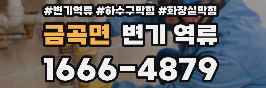 금곡면 변기 역류