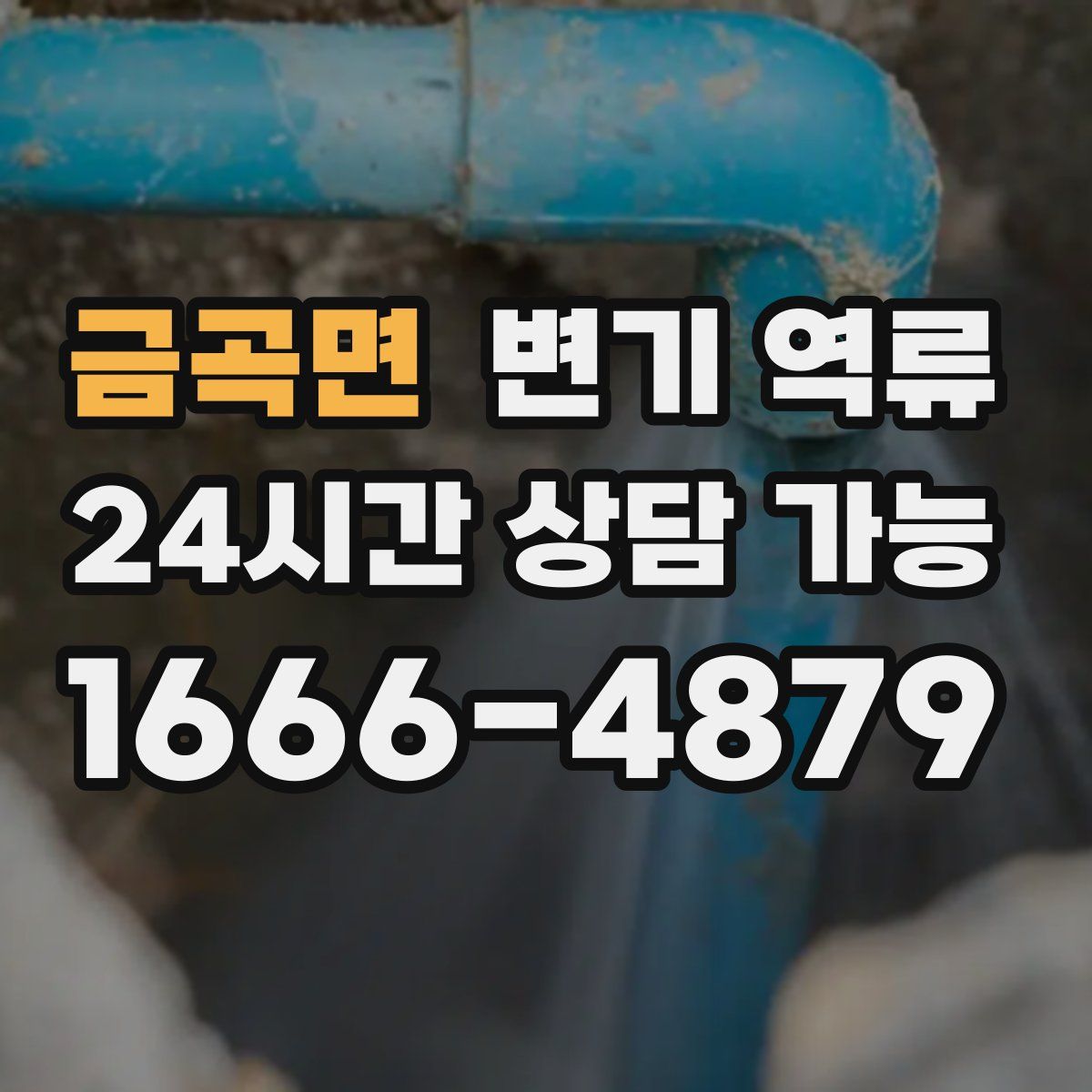 금곡면 변기 역류