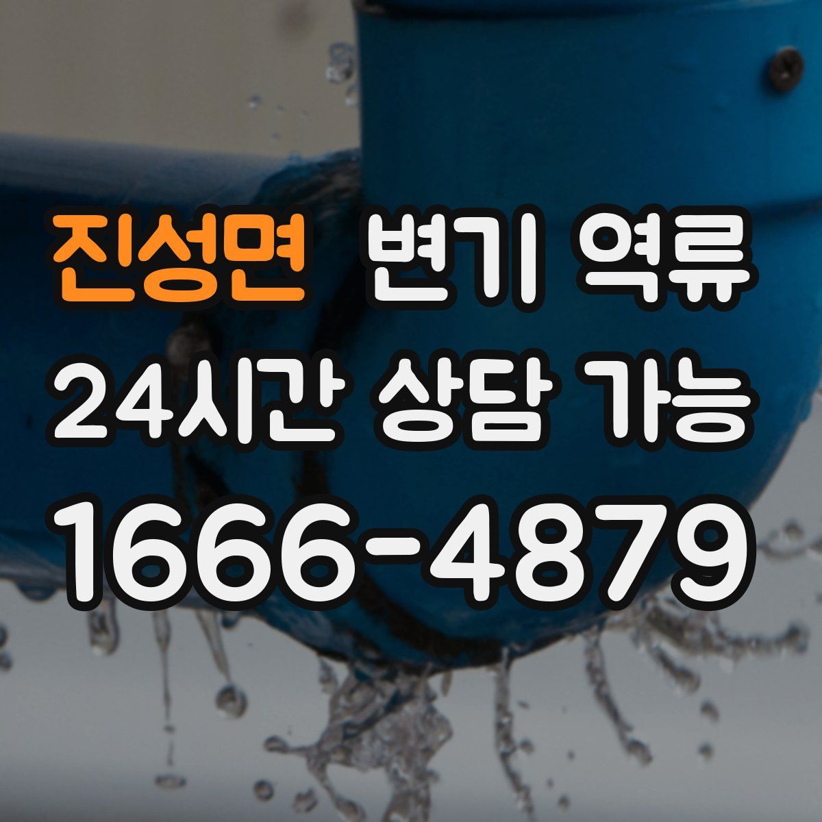 진성면 변기 역류