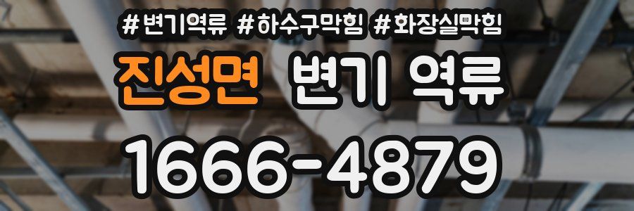 진성면 변기 역류