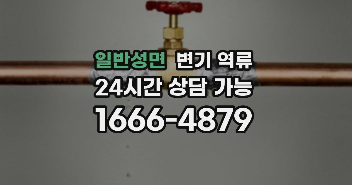 일반성면 변기 역류