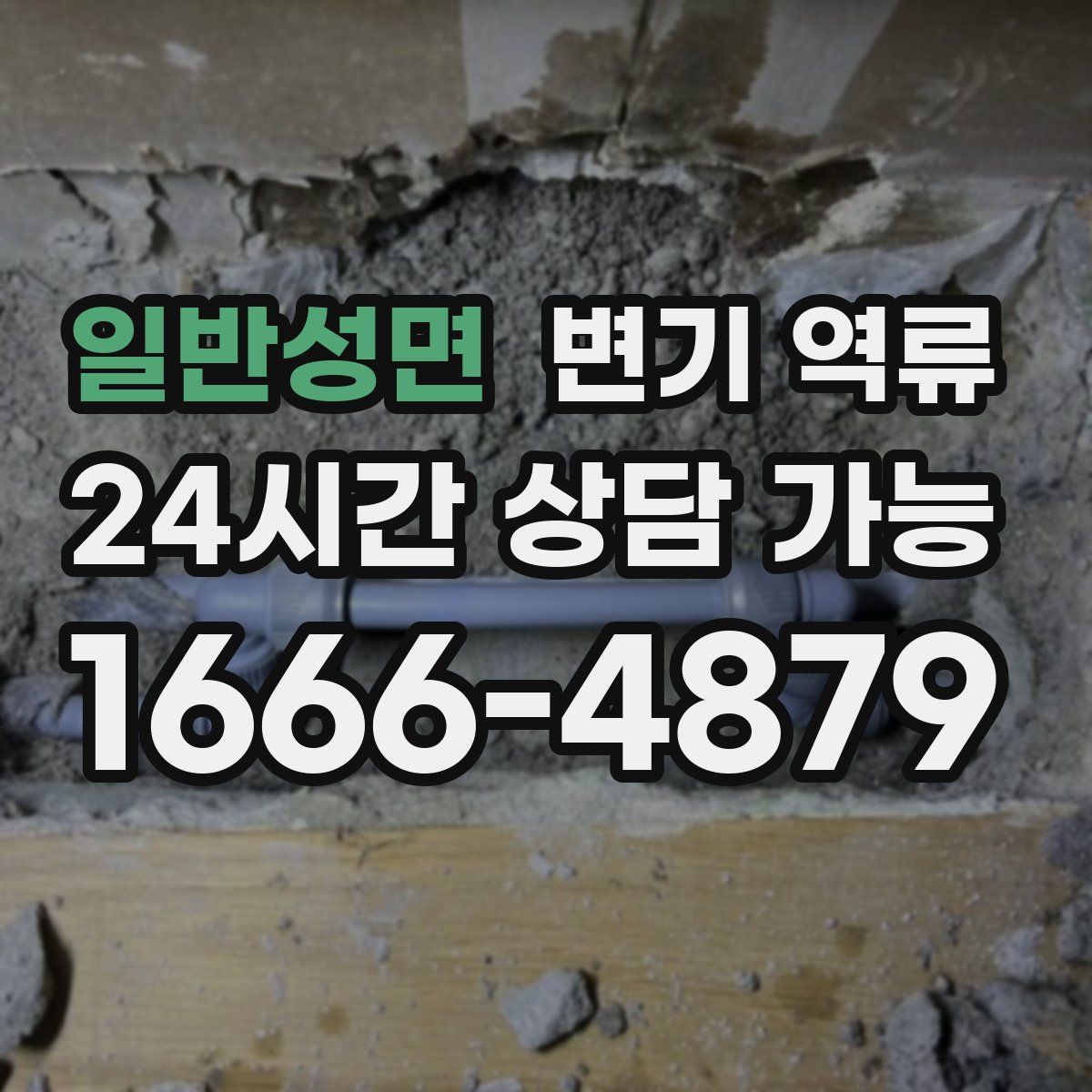 일반성면 변기 역류