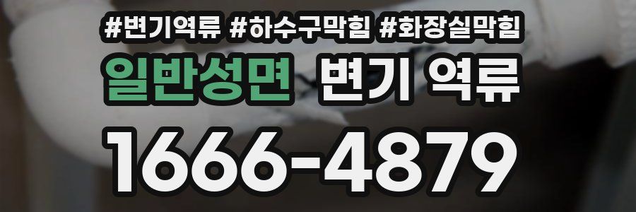 일반성면 변기 역류