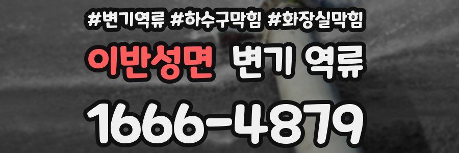 이반성면 변기 역류