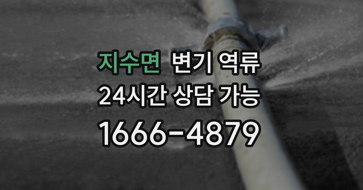 지수면 변기 역류