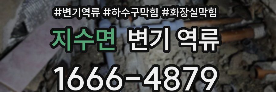 지수면 변기 역류