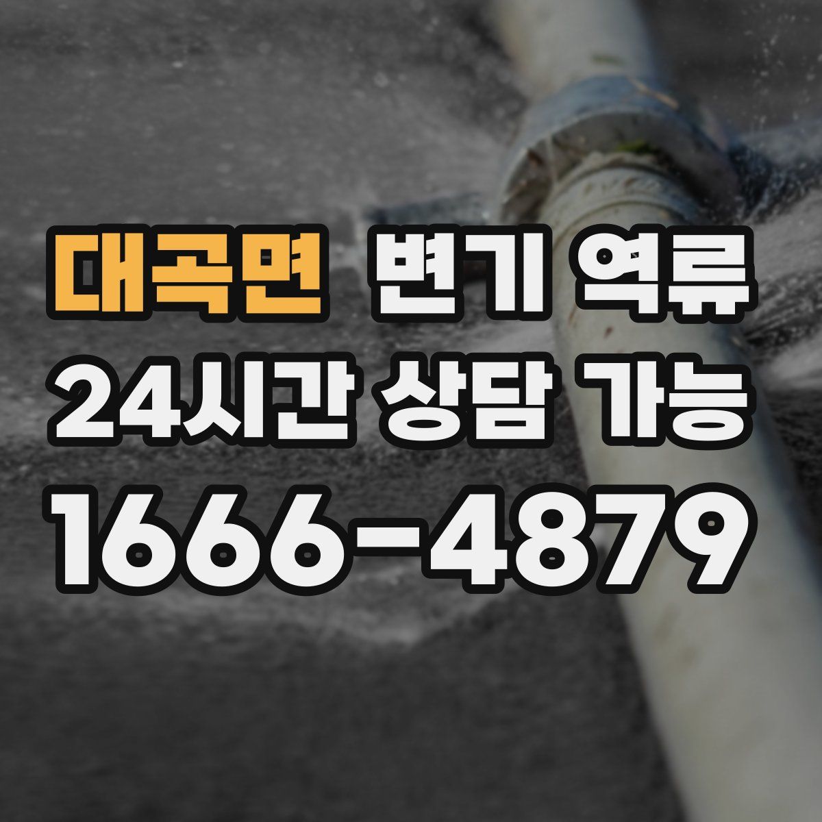 대곡면 변기 역류