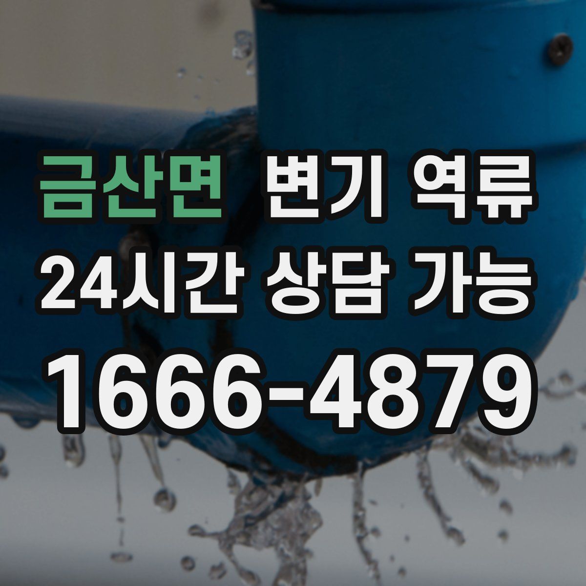 금산면 변기 역류