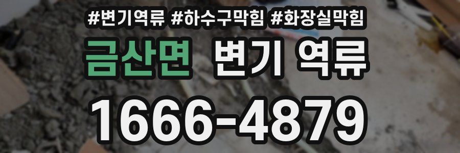 금산면 변기 역류