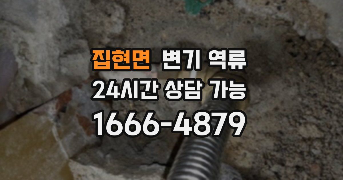 집현면 변기 역류