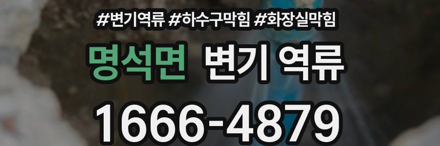 명석면 변기 역류