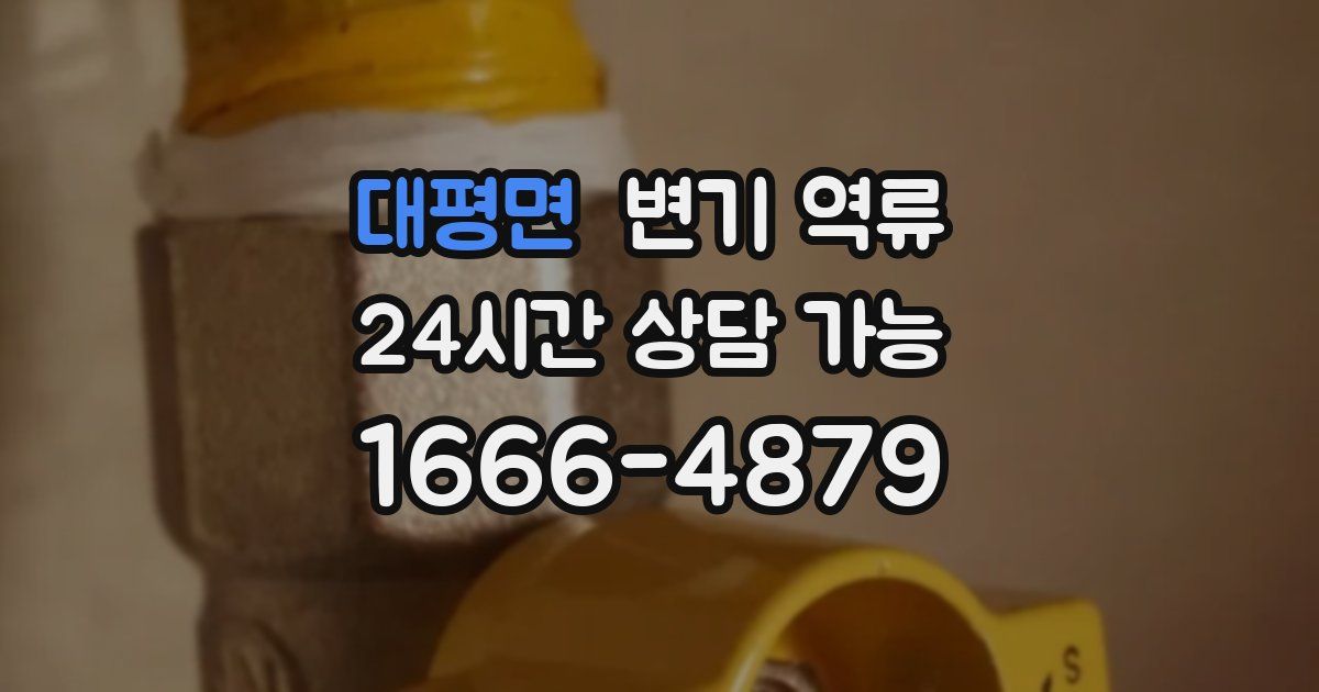 대평면 변기 역류