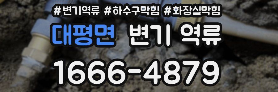 대평면 변기 역류