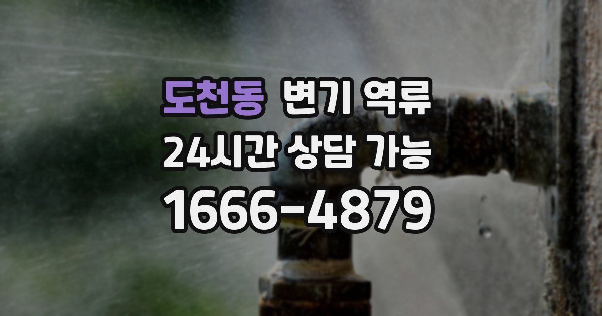 도천동 변기 역류