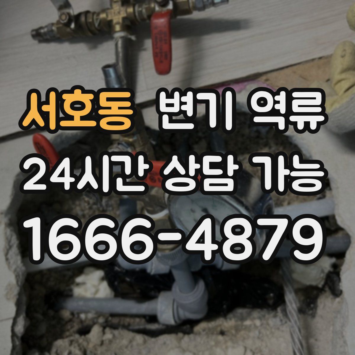 서호동 변기 역류