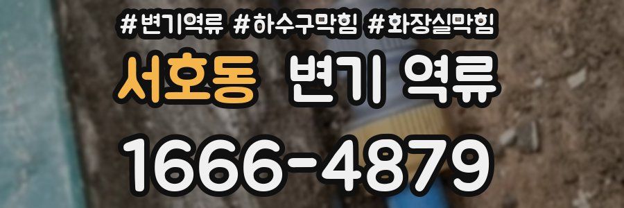 서호동 변기 역류