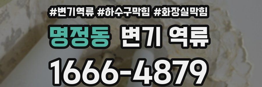 명정동 변기 역류