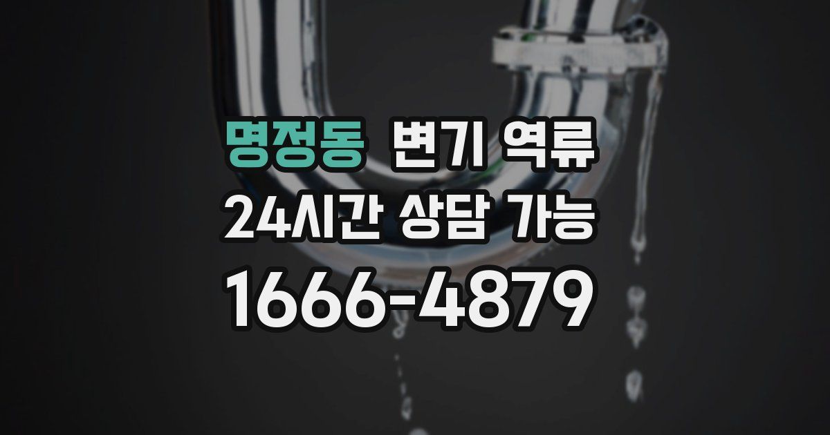 명정동 변기 역류