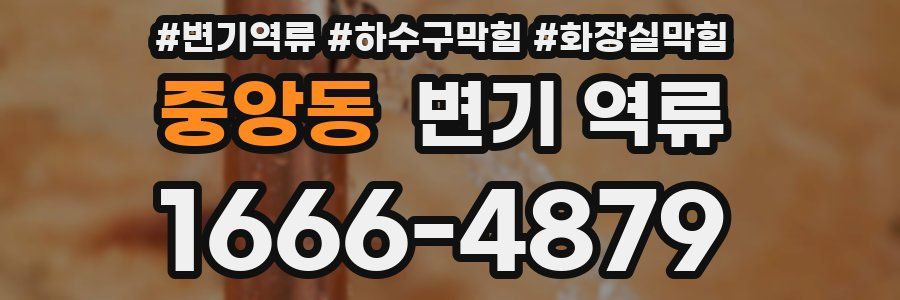 중앙동 변기 역류