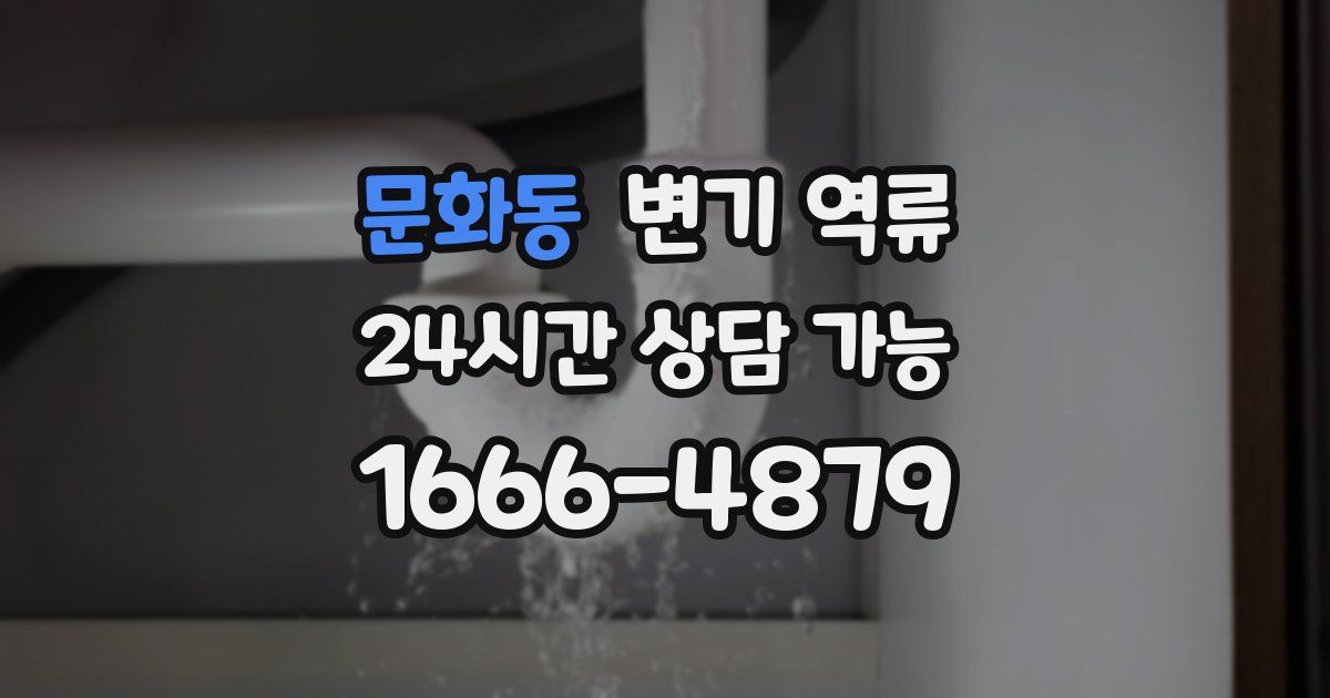 문화동 변기 역류