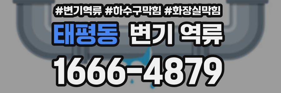 태평동 변기 역류