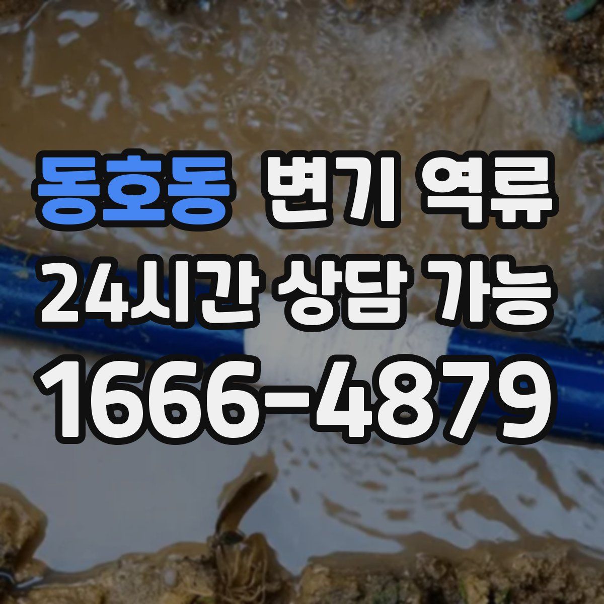 동호동 변기 역류