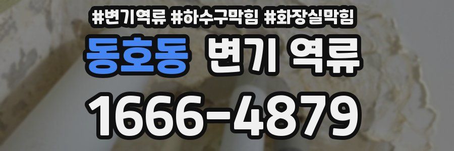 동호동 변기 역류