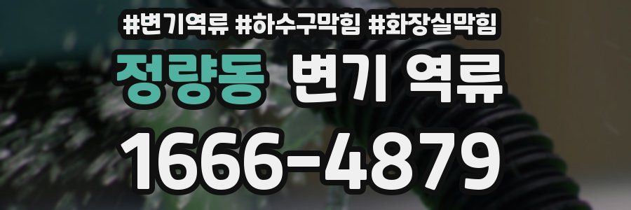 정량동 변기 역류