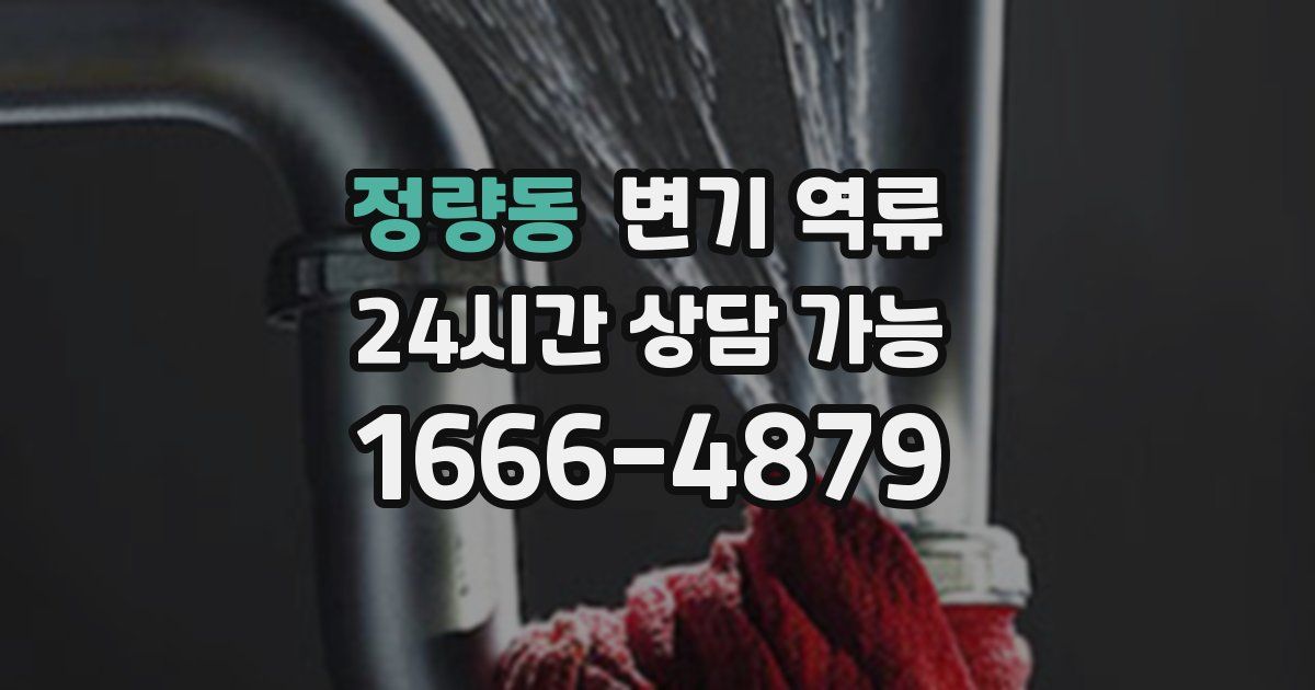 정량동 변기 역류