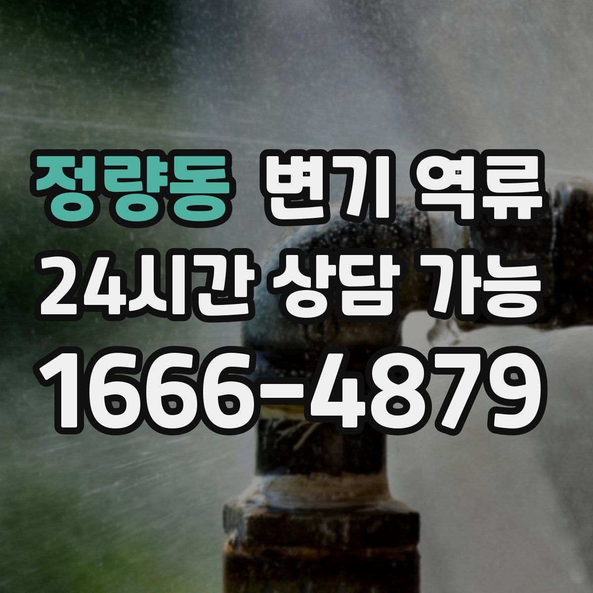 정량동 변기 역류