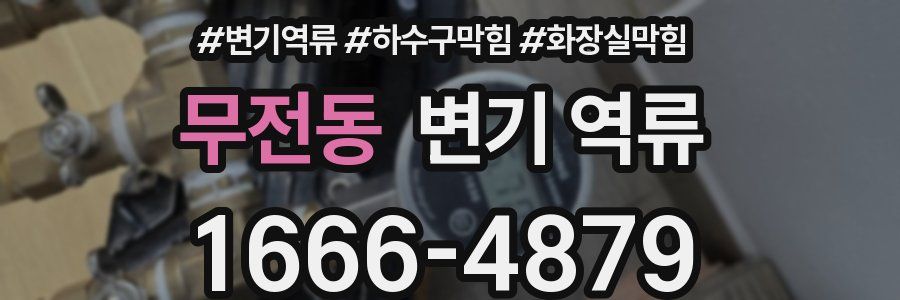 무전동 변기 역류